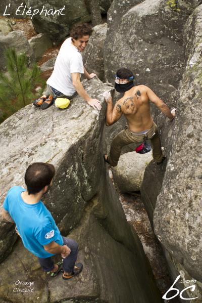 "Orange Circuit" (6)